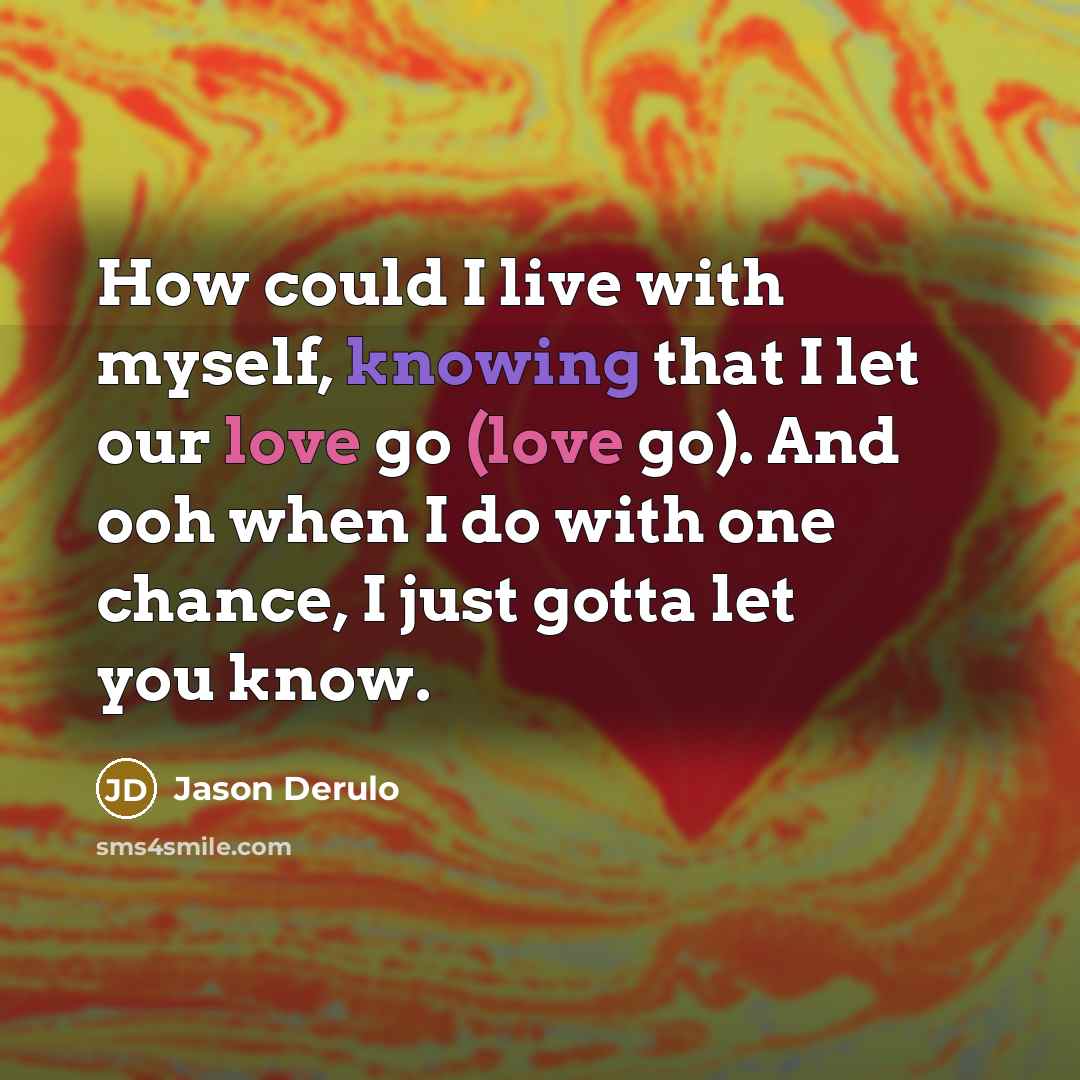 “How could I live with myself, knowing that I let our love go (love go). And ooh when I do with one chance, I just gotta let you know.” quote by Jason Derulo