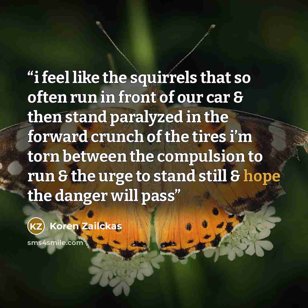 “i feel like the squirrels that so often run in front of our car & then stand paralyzed in the forward crunch of the tires i’m torn between the compulsion to run & the urge to stand still & hope the danger will pass” quote by Koren Zailckas