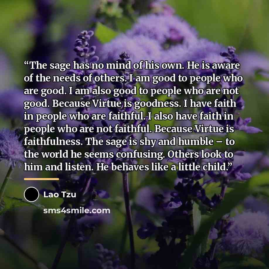 “The sage has no mind of his own. He is aware of the needs of others. I am good to people who are good. I am also good to people who are not good. Because Virtue is goodness. I have faith in people who are faithful. I also have faith in people who are not faithful. Because Virtue is faithfulness…” quote by Lao Tzu