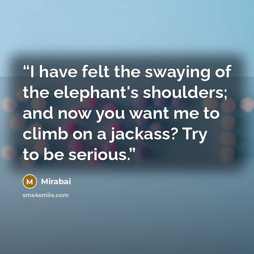 “I have felt the swaying of the elephant's shoulders; and now you want me to climb on a jackass? Try to be serious.” quote by Mirabai
