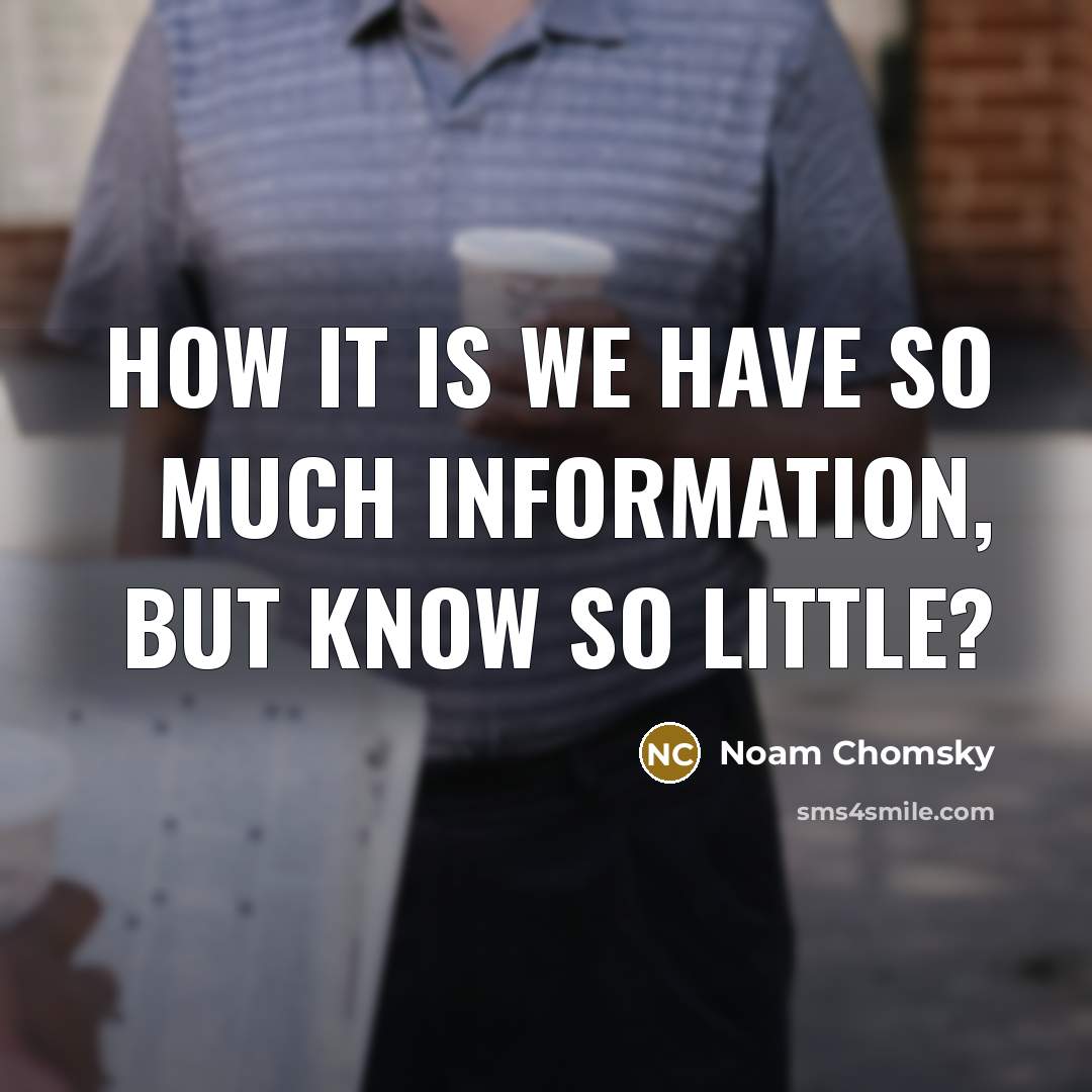 “How it is we have so much information, but know so little?” quote by Noam Chomsky