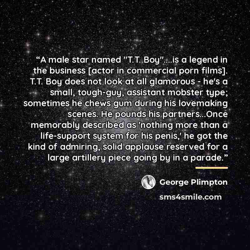 “A male star named "T.T. Boy"…is a legend in the business [actor in commercial porn films]. T.T. Boy does not look at all glamorous - he's a small, tough-guy, assistant mobster type; sometimes he chews gum during his lovemaking scenes. He pounds his partners...Once memorably described as 'nothing…” quote by George Plimpton