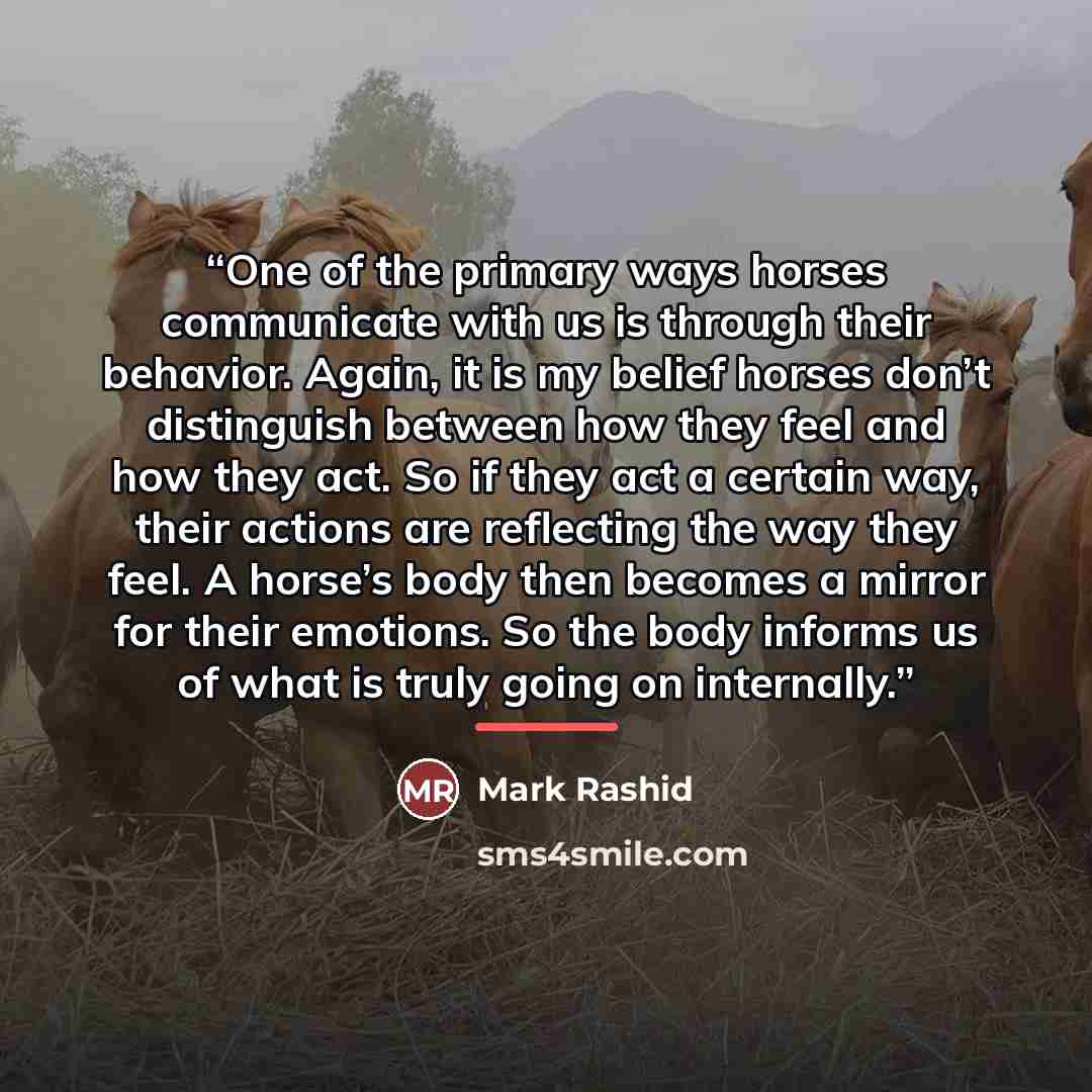 “One of the primary ways horses communicate with us is through their behavior. Again, it is my belief horses don’t distinguish between how they feel and how they act. So if they act a certain way, their actions are reflecting the way they feel. A horse’s body then becomes a mirror for their…” quote by Mark Rashid