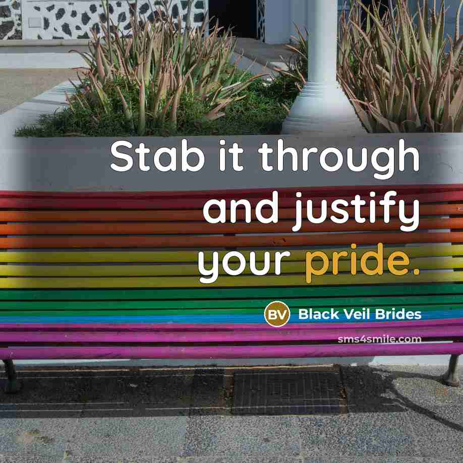 “Stab it through and justify your pride.” quote by Black Veil Brides
