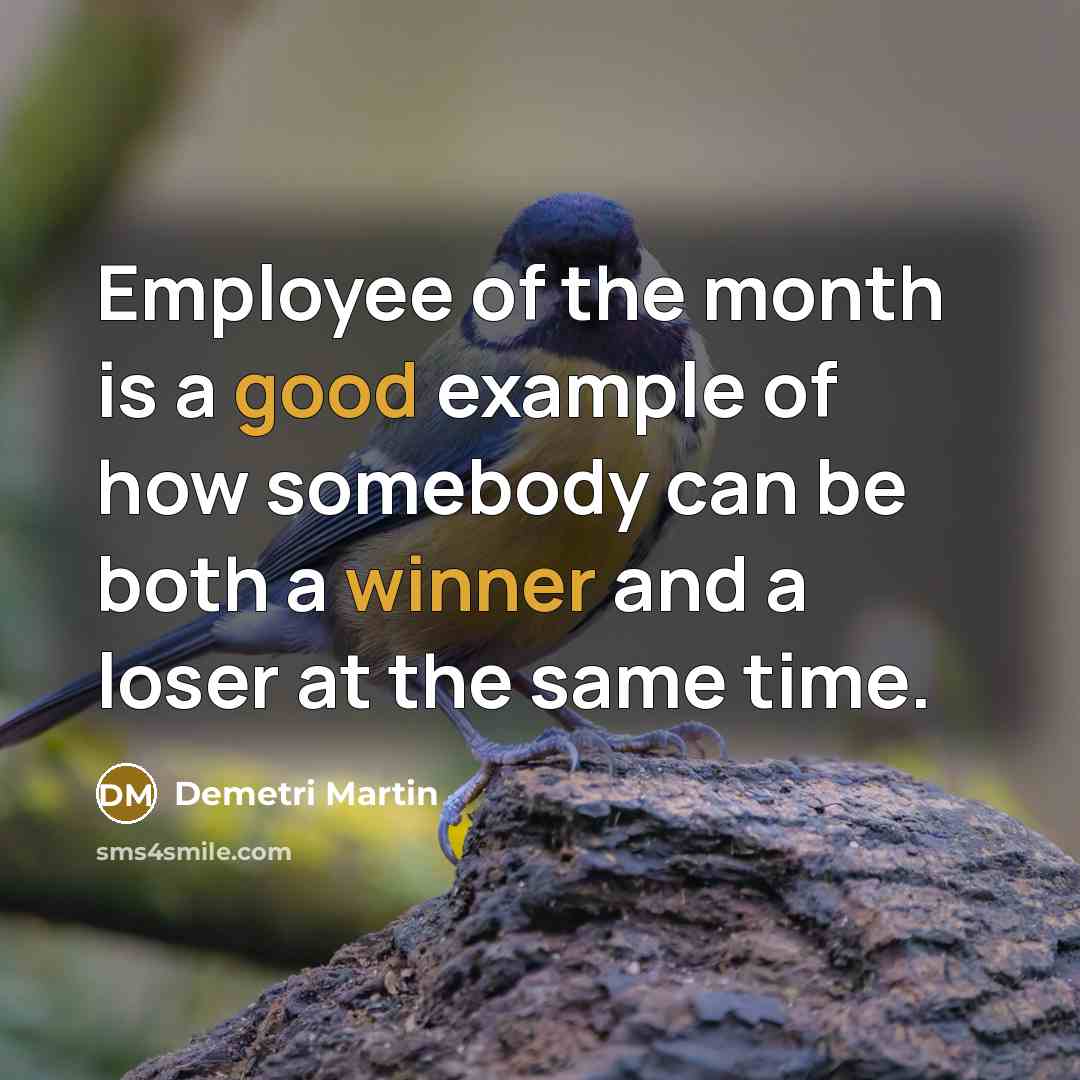 “Employee of the month is a good example of how somebody can be both a winner and a loser at the same time.” quote by Demetri Martin