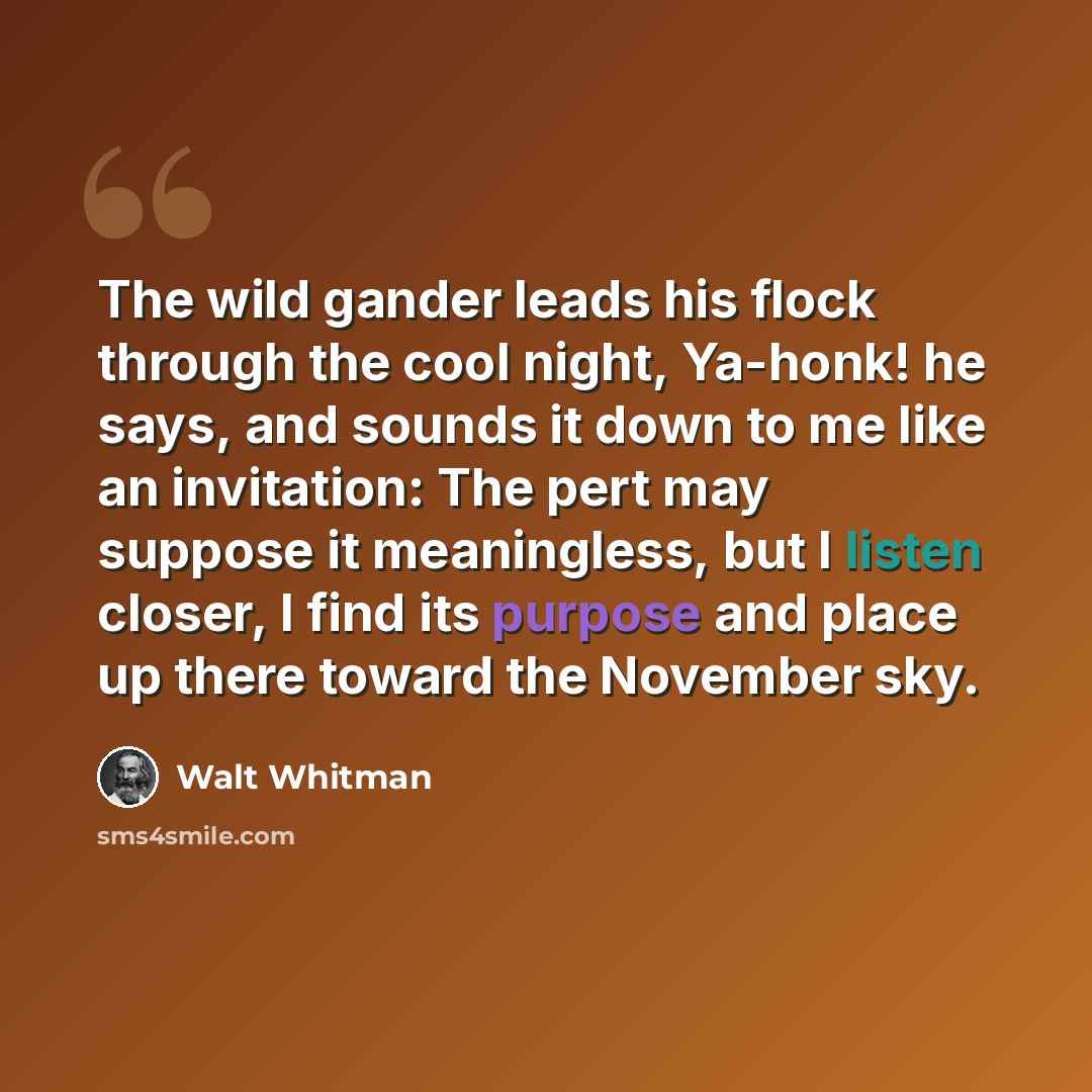 “The wild gander leads his flock through the cool night, Ya-honk! he says, and sounds it down to me like an invitation: The pert may suppose it meaningless, but I listen closer, I find its purpose and place up there toward the November sky.” quote by Walt Whitman