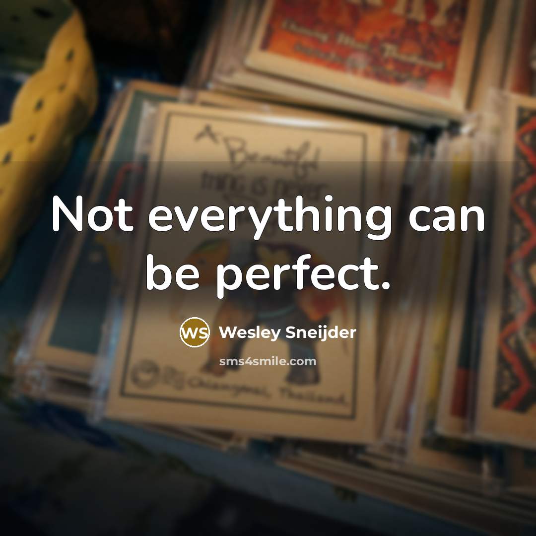“Not everything can be perfect.” quote by Wesley Sneijder
