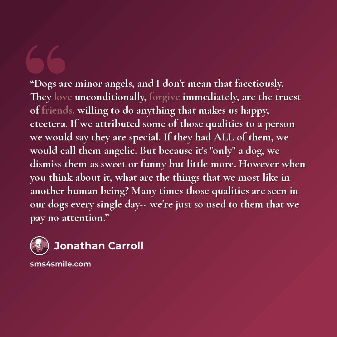“Dogs are minor angels, and I don't mean that facetiously. They love unconditionally, forgive immediately, are the truest of friends, willing to do anything that makes us happy, etcetera. If we attributed some of those qualities to a person we would say they are special. If they had ALL of them, we…” quote by Jonathan Carroll