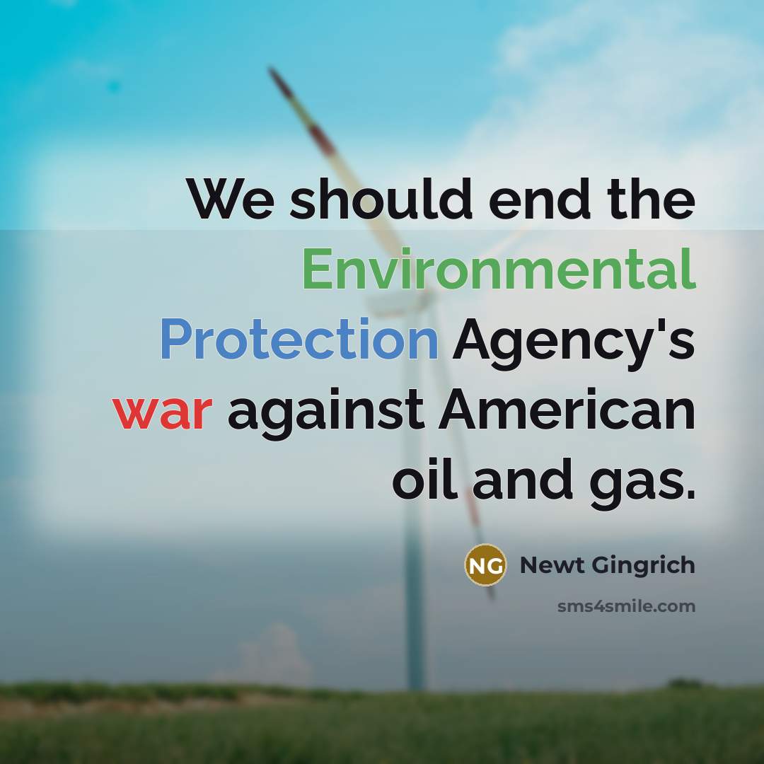“We should end the Environmental Protection Agency's war against American oil and gas.” quote by Newt Gingrich