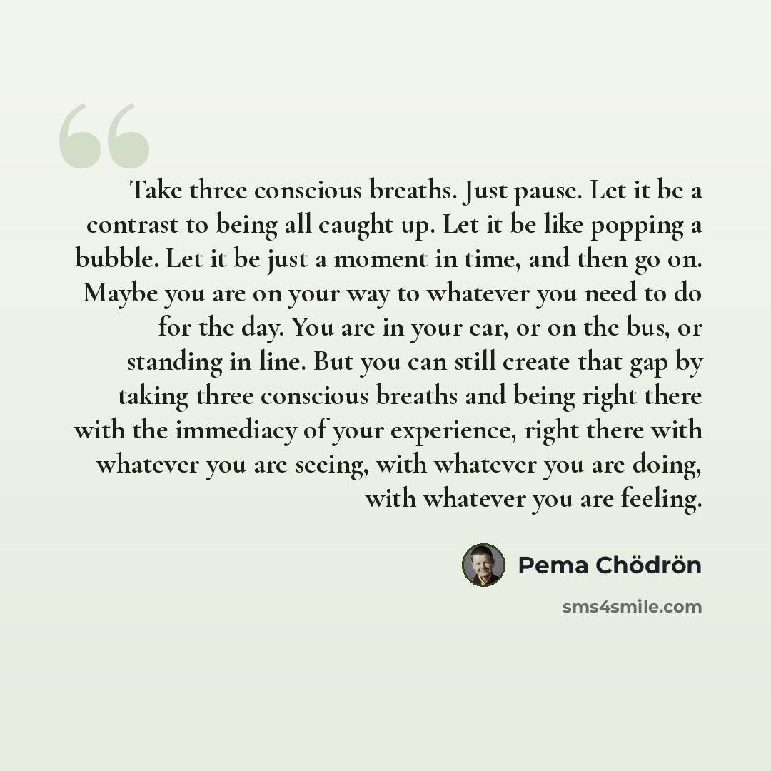 “Take three conscious breaths. Just pause. Let it be a contrast to being all caught up. Let it be like popping a bubble. Let it be just a moment in time, and then go on. Maybe you are on your way to whatever you need to do for the day. You are in your car, or on the bus, or standing in line. But…” quote by Pema Chodron