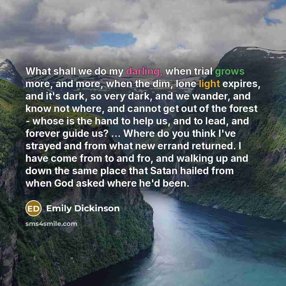 “What shall we do my darling, when trial grows more, and more, when the dim, lone light expires, and it's dark, so very dark, and we wander, and know not where, and cannot get out of the forest - whose is the hand to help us, and to lead, and forever guide us? ... Where do you think I've strayed…” quote by Emily Dickinson