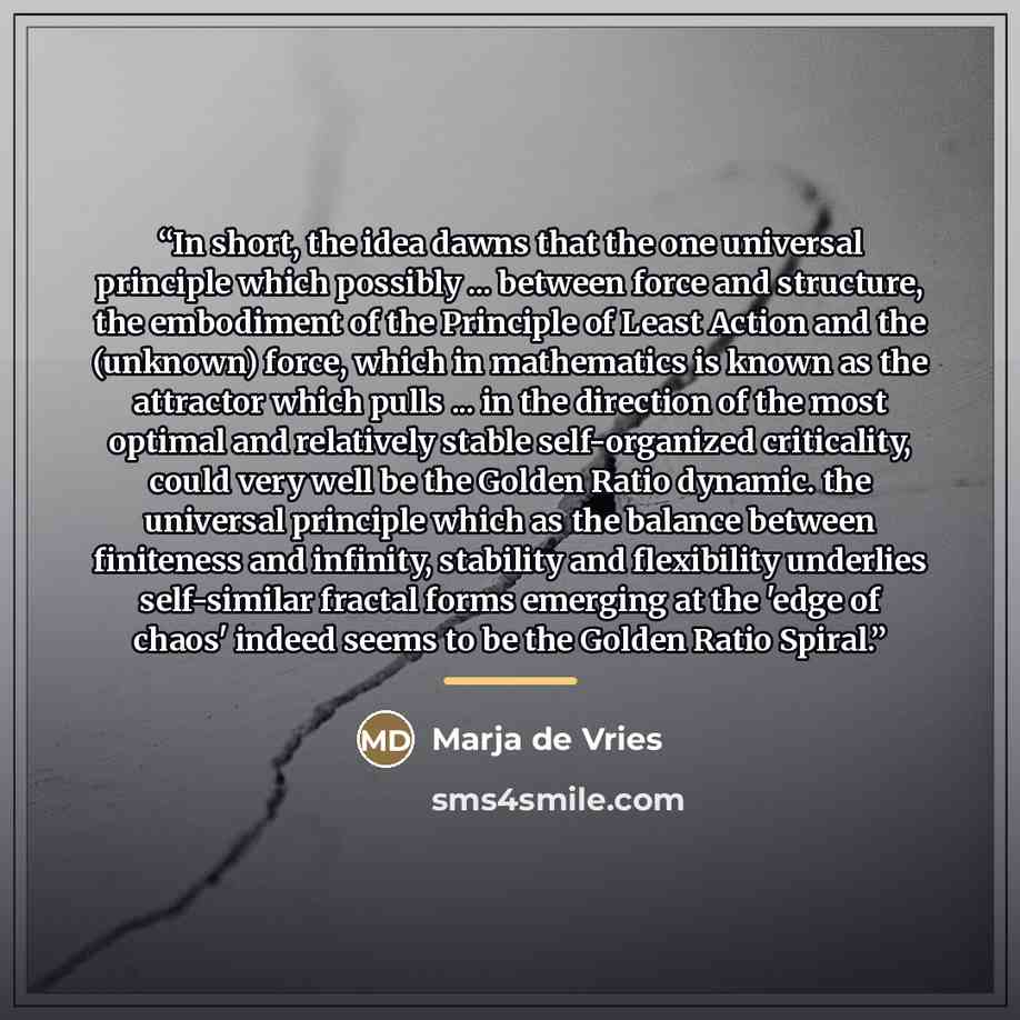 “In short, the idea dawns that the one universal principle which possibly ... between force and structure, the embodiment of the Principle of Least Action and the (unknown) force, which in mathematics is known as the attractor which pulls ... in the direction of the most optimal and relatively…” quote by Marja de Vries