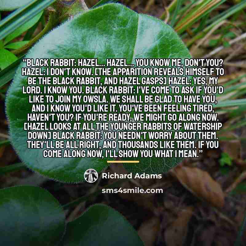 “Black Rabbit: Hazel... Hazel... you know me, don't you? Hazel: I don't know. [the apparition reveals himself to be the Black Rabbit, and Hazel gasps] Hazel: Yes, my lord. I know you. Black Rabbit: I've come to ask if you'd like to join my Owsla. We shall be glad to have you, and I know you'd like…” quote by Richard Adams