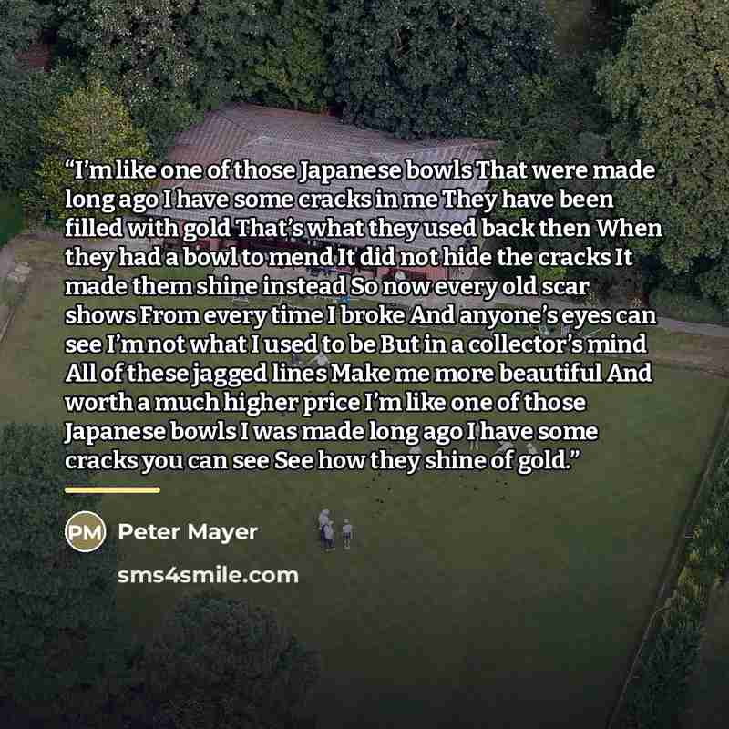 “I’m like one of those Japanese bowls That were made long ago I have some cracks in me They have been filled with gold That’s what they used back then When they had a bowl to mend It did not hide the cracks It made them shine instead So now every old scar shows From every time I broke And anyone’s…” quote by Peter Mayer