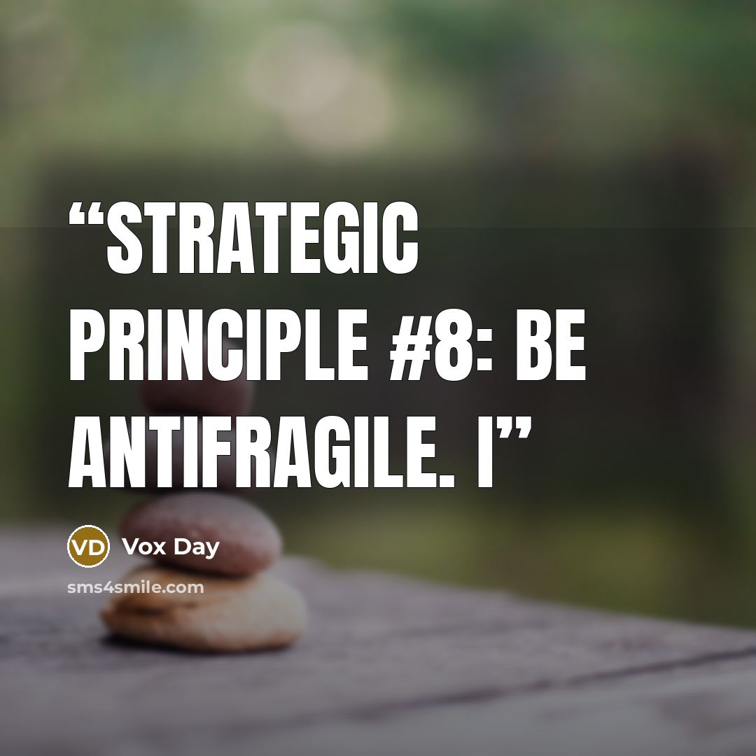 “Strategic Principle #8: Be antifragile. I” quote by Vox Day