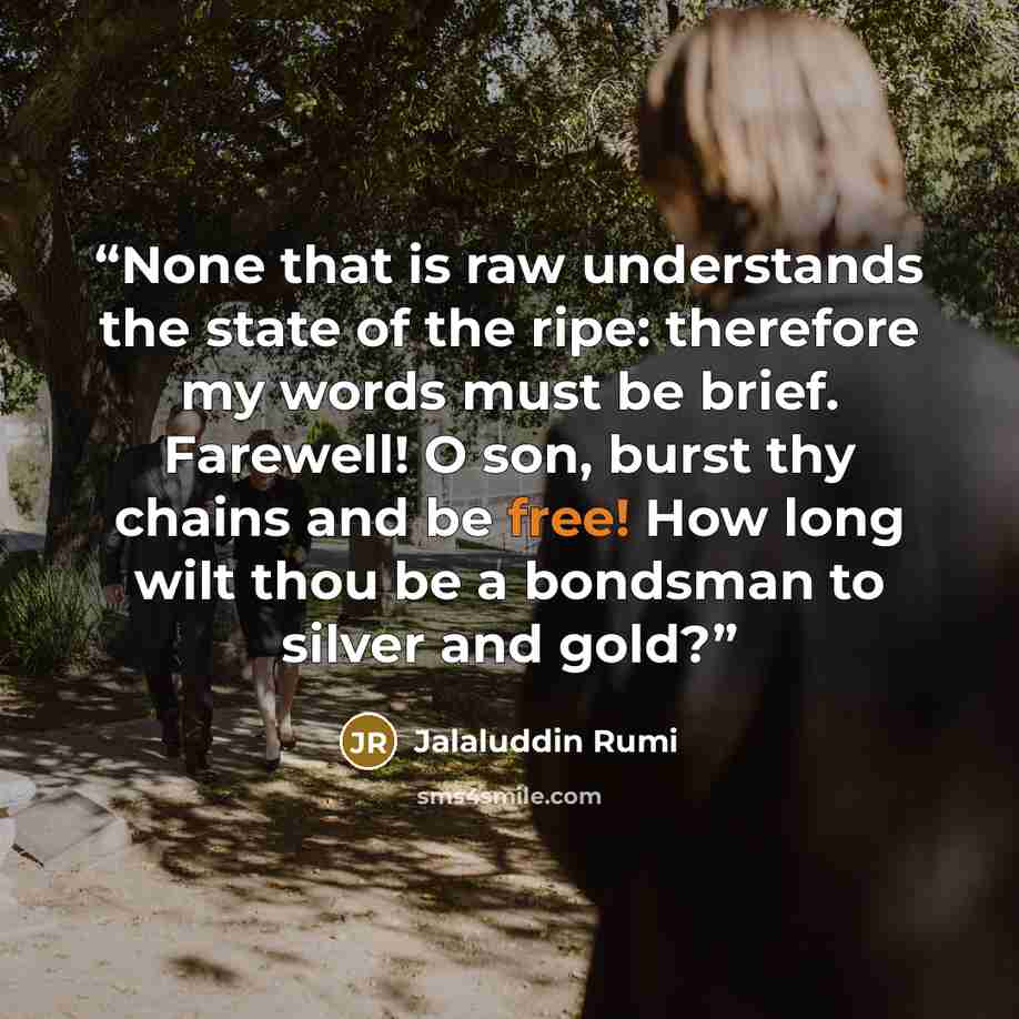 “None that is raw understands the state of the ripe: therefore my words must be brief. Farewell! O son, burst thy chains and be free! How long wilt thou be a bondsman to silver and gold?” quote by Jalaluddin Rumi