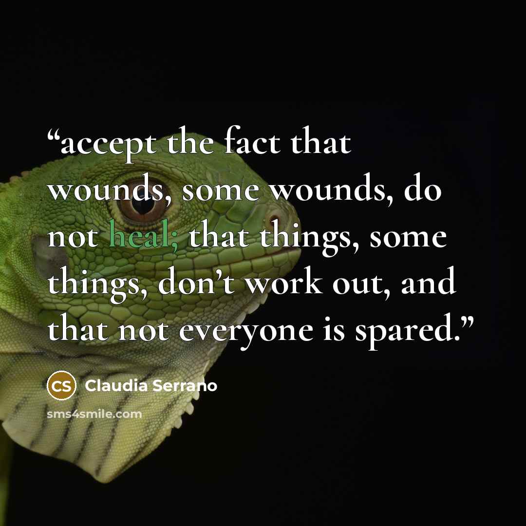 “accept the fact that wounds, some wounds, do not heal; that things, some things, don’t work out, and that not everyone is spared.” quote by Claudia Serrano