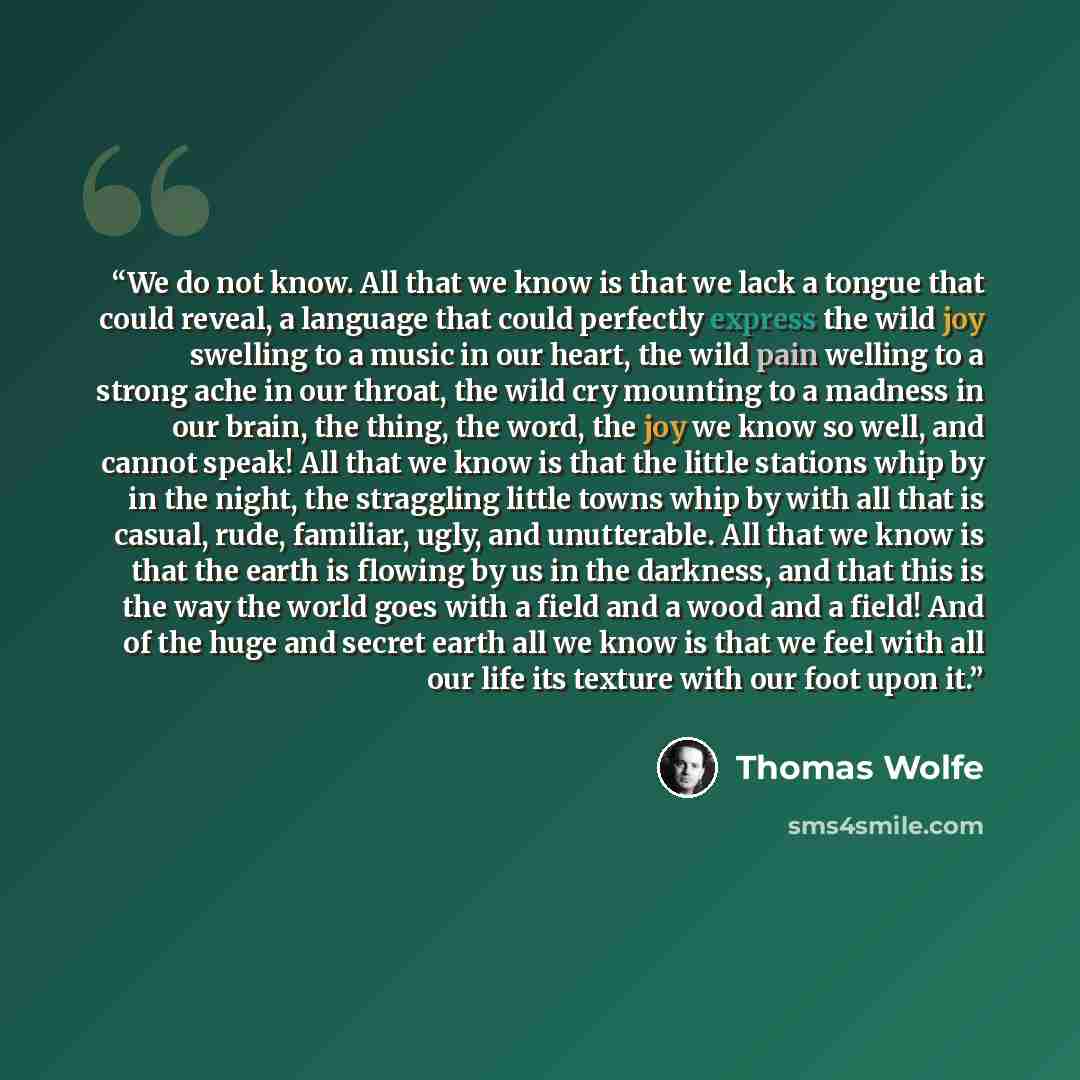 “We do not know. All that we know is that we lack a tongue that could reveal, a language that could perfectly express the wild joy swelling to a music in our heart, the wild pain welling to a strong ache in our throat, the wild cry mounting to a madness in our brain, the thing, the word, the joy we…” quote by Thomas Wolfe
