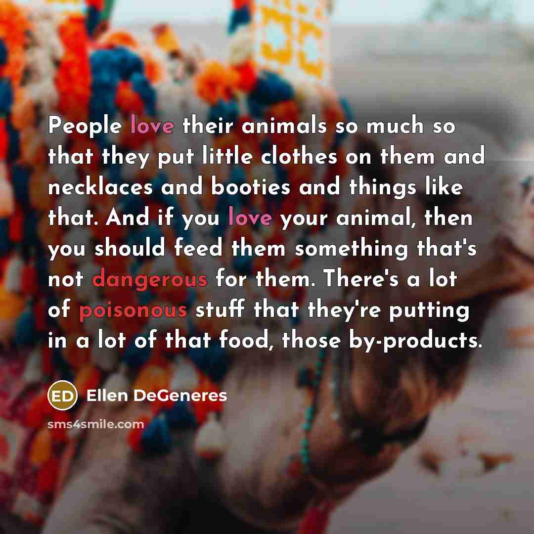 “People love their animals so much so that they put little clothes on them and necklaces and booties and things like that. And if you love your animal, then you should feed them something that's not dangerous for them. There's a lot of poisonous stuff that they're putting in a lot of that food…” quote by Ellen DeGeneres