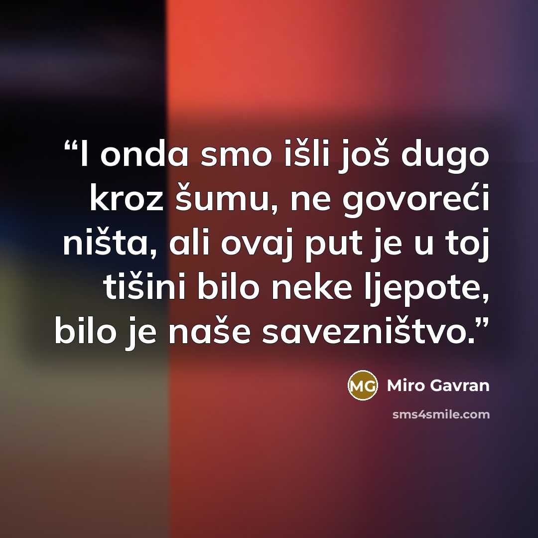 “I onda smo išli još dugo kroz šumu, ne govoreći ništa, ali ovaj put je u toj tišini bilo neke ljepote, bilo je naše savezništvo.” quote by Miro Gavran
