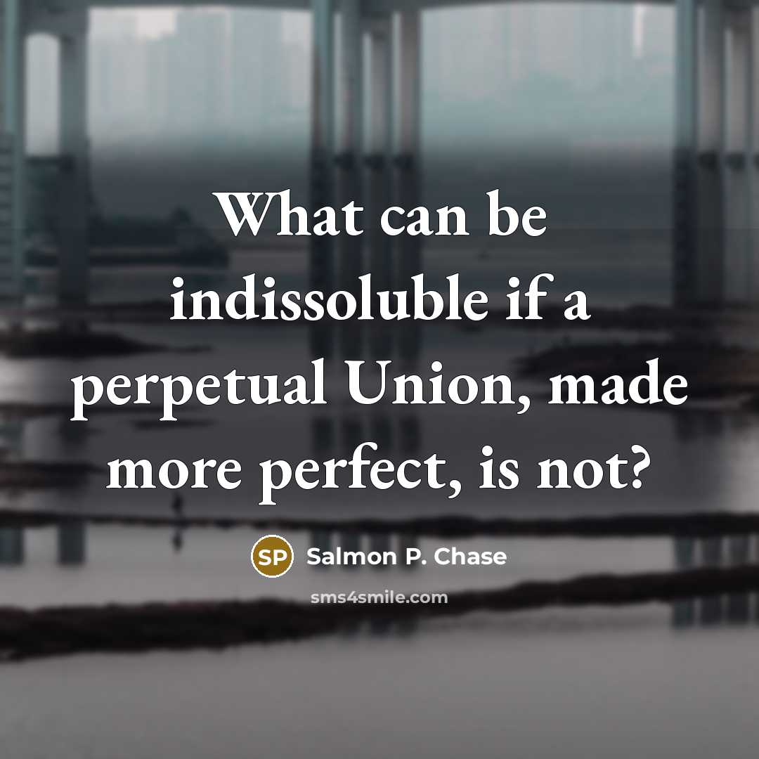 “What can be indissoluble if a perpetual Union, made more perfect, is not?” quote by Salmon P. Chase