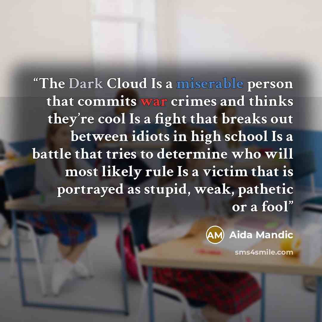 “The Dark Cloud Is a miserable person that commits war crimes and thinks they’re cool Is a fight that breaks out between idiots in high school Is a battle that tries to determine who will most likely rule Is a victim that is portrayed as stupid, weak, pathetic or a fool” quote by Aida Mandic