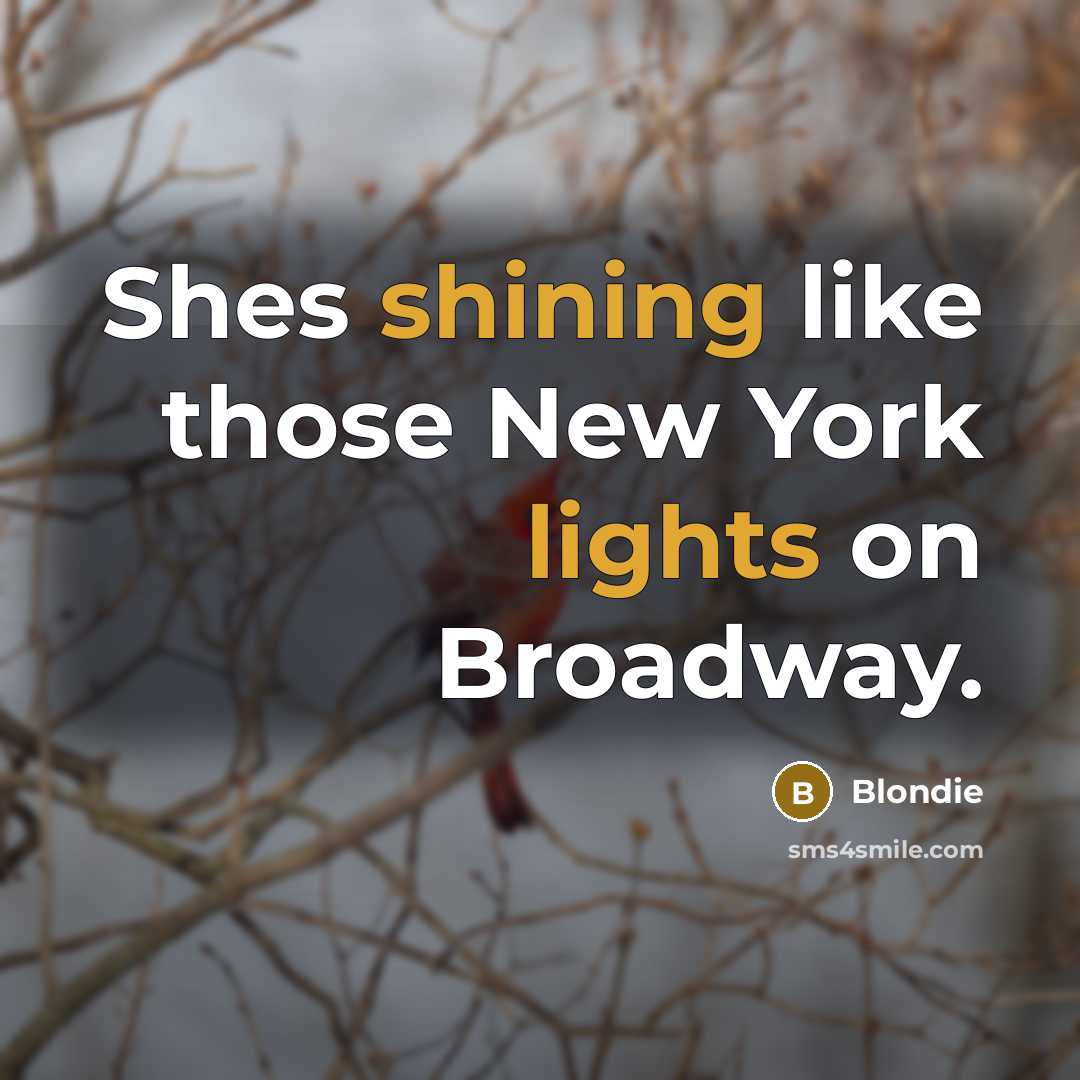 “Shes shining like those New York lights on Broadway.” quote by Blondie