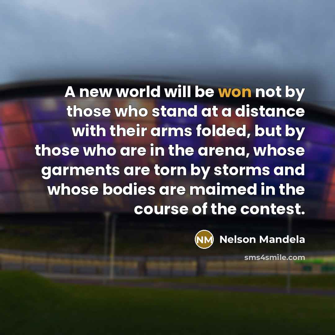 “A new world will be won not by those who stand at a distance with their arms folded, but by those who are in the arena, whose garments are torn by storms and whose bodies are maimed in the course of the contest.” quote by Nelson Mandela