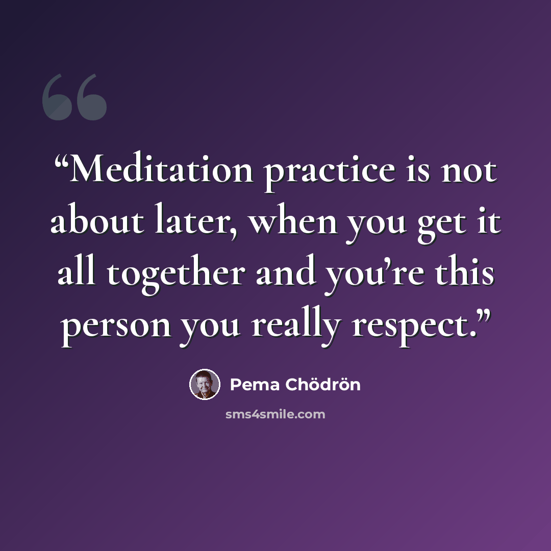 “Meditation practice is not about later, when you get it all together and you’re this person you really respect.” quote by Pema Chödrön