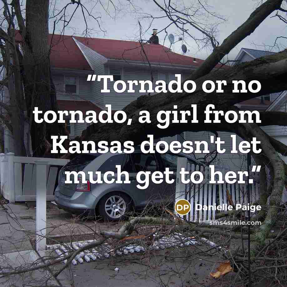 “Tornado or no tornado, a girl from Kansas doesn't let much get to her.” quote by Danielle Paige