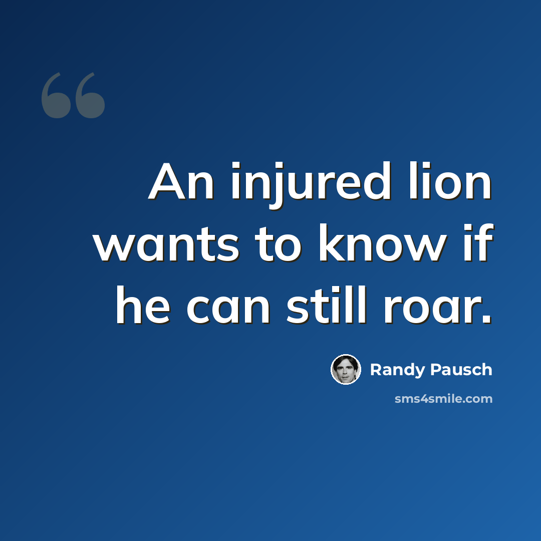 “An injured lion wants to know if he can still roar.” quote by Randy Pausch
