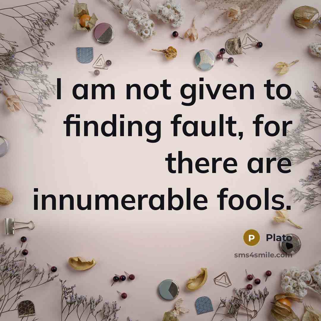 “I am not given to finding fault, for there are innumerable fools.” quote by Plato
