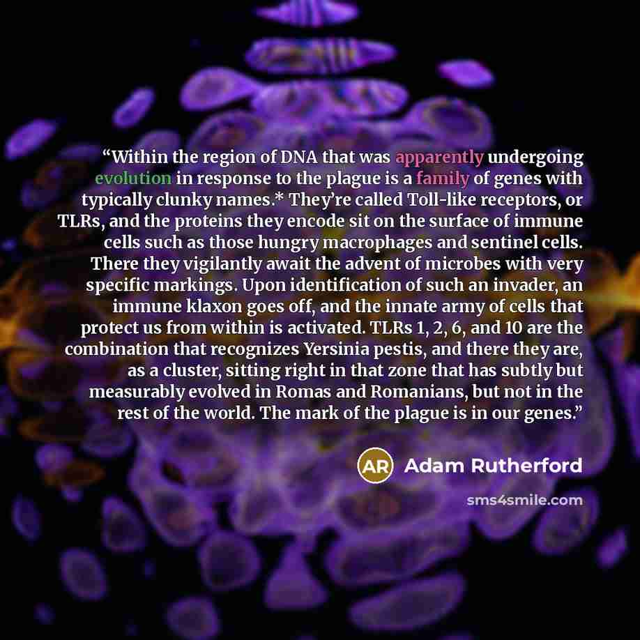 “Within the region of DNA that was apparently undergoing evolution in response to the plague is a family of genes with typically clunky names.* They’re called Toll-like receptors, or TLRs, and the proteins they encode sit on the surface of immune cells such as those hungry macrophages and sentinel…” quote by Adam Rutherford