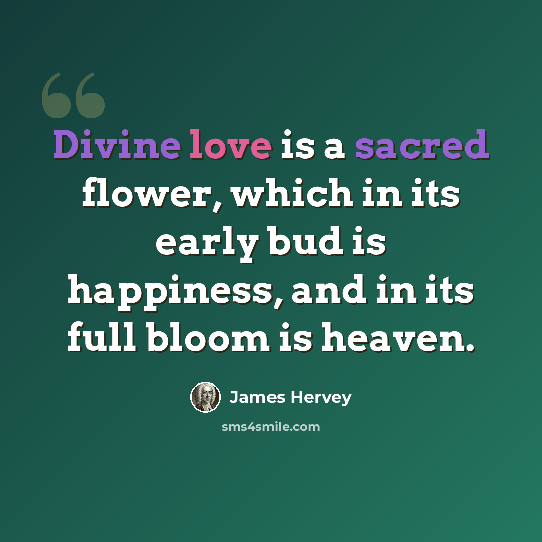 “Divine love is a sacred flower, which in its early bud is happiness, and in its full bloom is heaven.” quote by James Hervey
