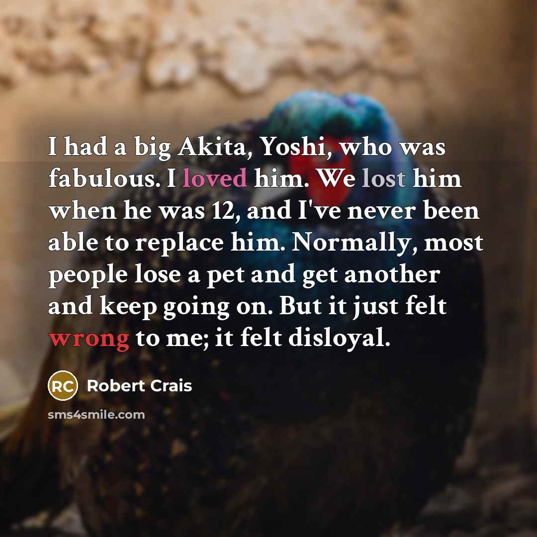 “I had a big Akita, Yoshi, who was fabulous. I loved him. We lost him when he was 12, and I've never been able to replace him. Normally, most people lose a pet and get another and keep going on. But it just felt wrong to me; it felt disloyal.” quote by Robert Crais