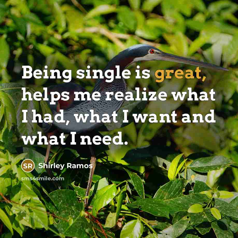 “Being single is great, helps me realize what I had, what I want and what I need.” quote by Shirley Ramos
