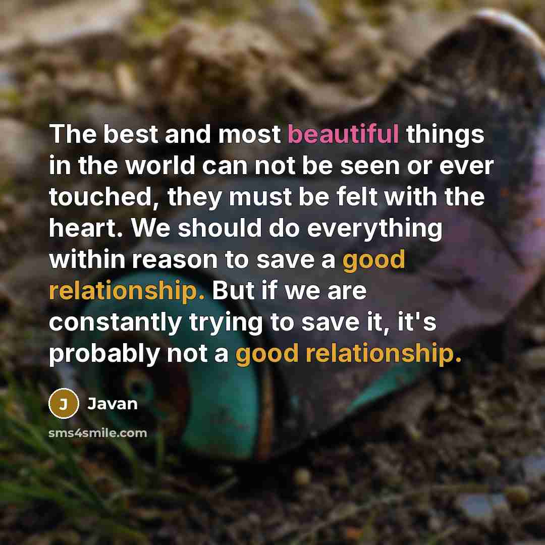 “The best and most beautiful things in the world can not be seen or ever touched, they must be felt with the heart. We should do everything within reason to save a good relationship. But if we are constantly trying to save it, it's probably not a good relationship.” quote by Javan