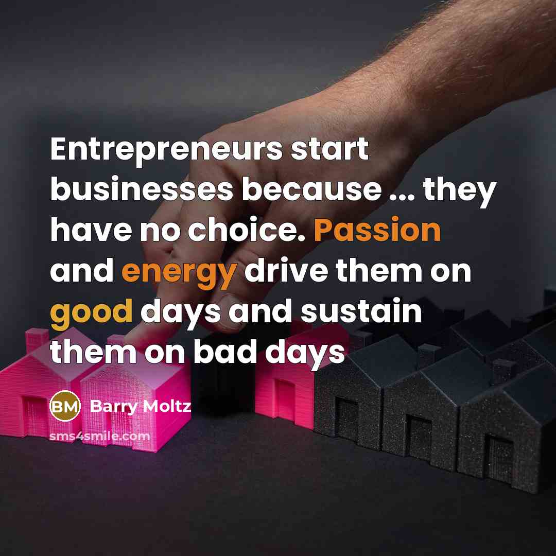 “Entrepreneurs start businesses because ... they have no choice. Passion and energy drive them on good days and sustain them on bad days” quote by Barry Moltz
