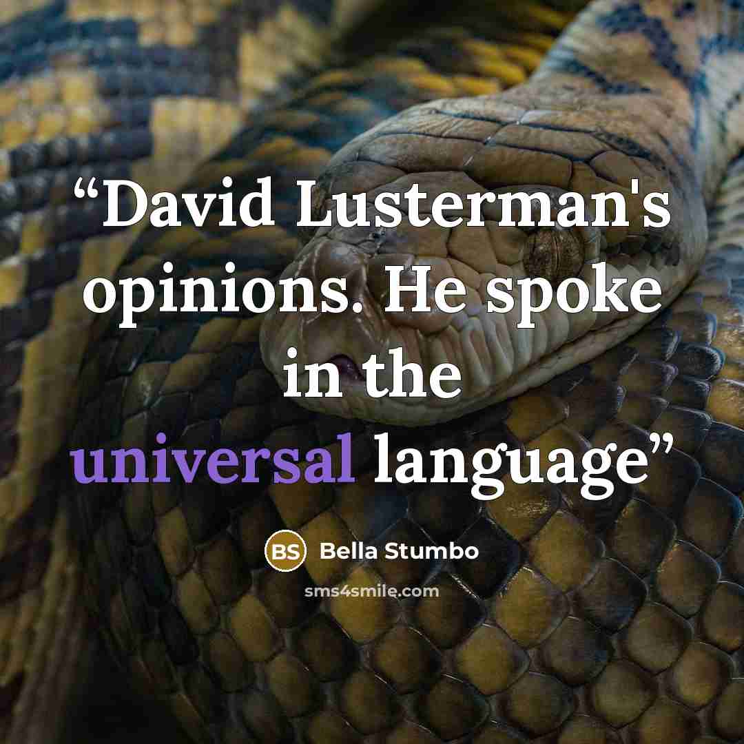“David Lusterman's opinions. He spoke in the universal language” quote by Bella Stumbo