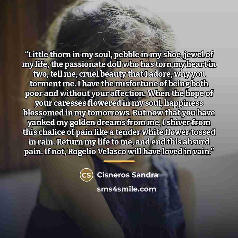 “Little thorn in my soul, pebble in my shoe, jewel of my life, the passionate doll who has torn my heart in two, tell me, cruel beauty that I adore, why you torment me. I have the misfortune of being both poor and without your affection. When the hope of your caresses flowered in my soul, happiness…” quote by Cisneros Sandra