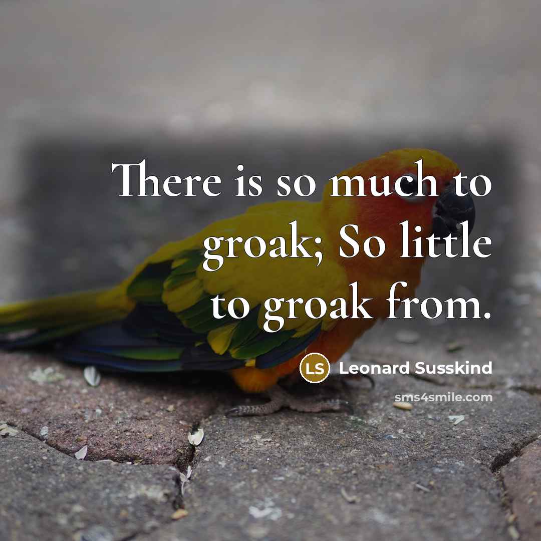 “There is so much to groak; So little to groak from.” quote by Leonard Susskind