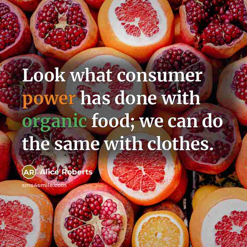 “Look what consumer power has done with organic food; we can do the same with clothes.” quote by Alice Roberts