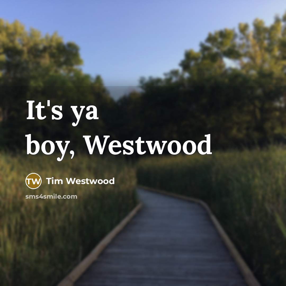 “It's ya boy, Westwood” quote by Tim Westwood