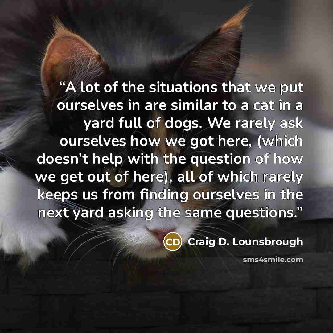 “A lot of the situations that we put ourselves in are similar to a cat in a yard full of dogs. We rarely ask ourselves how we got here, (which doesn’t help with the question of how we get out of here), all of which rarely keeps us from finding ourselves in the next yard asking the same questions.” quote by Craig D. Lounsbrough
