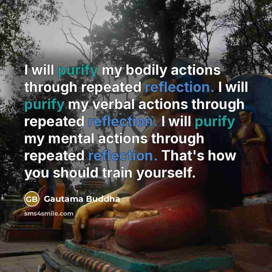 “I will purify my bodily actions through repeated reflection. I will purify my verbal actions through repeated reflection. I will purify my mental actions through repeated reflection. That's how you should train yourself.” quote by Gautama Buddha