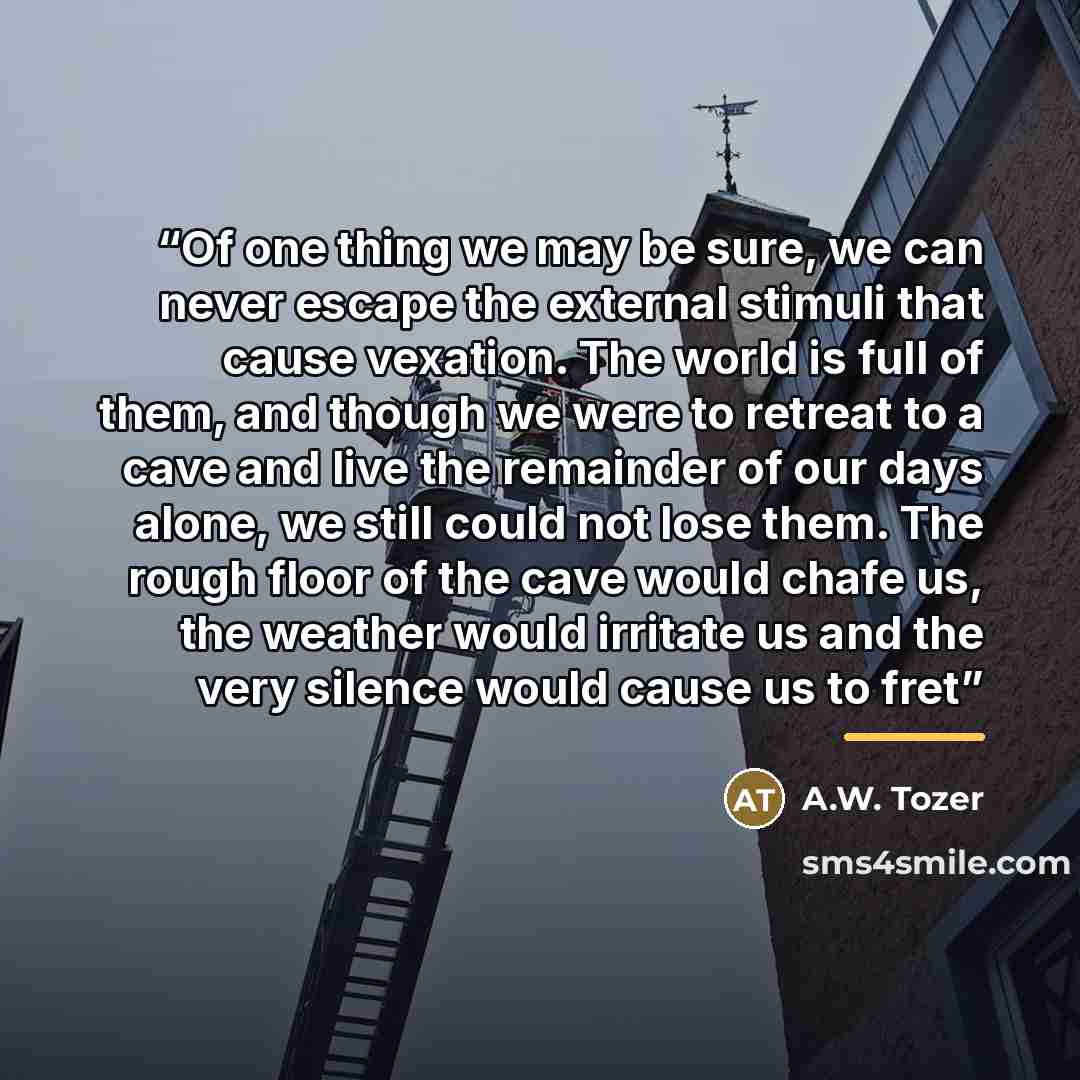 “Of one thing we may be sure, we can never escape the external stimuli that cause vexation. The world is full of them, and though we were to retreat to a cave and live the remainder of our days alone, we still could not lose them. The rough floor of the cave would chafe us, the weather would…” quote by A.W. Tozer
