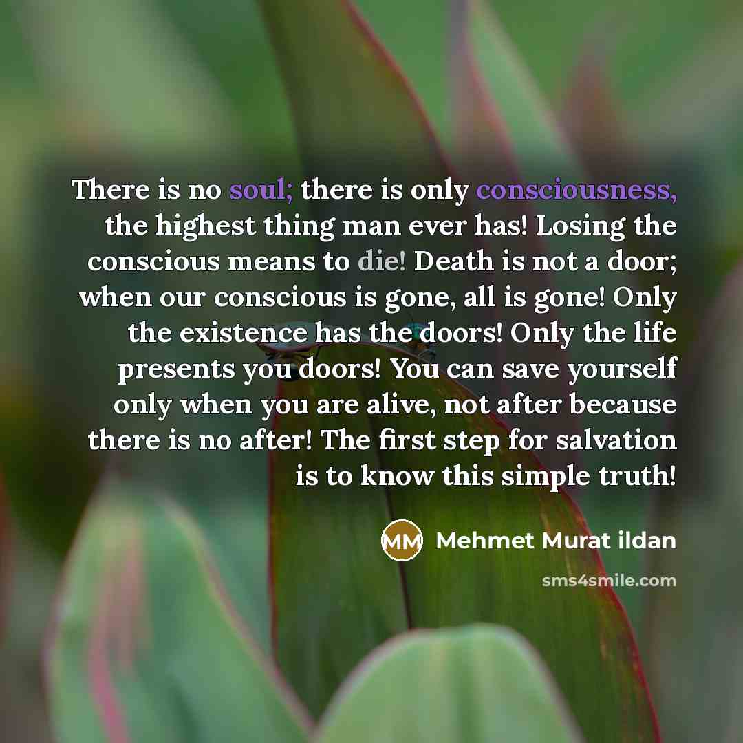 “There is no soul; there is only consciousness, the highest thing man ever has! Losing the conscious means to die! Death is not a door; when our conscious is gone, all is gone! Only the existence has the doors! Only the life presents you doors! You can save yourself only when you are alive, not…” quote by Mehmet Murat Ildan