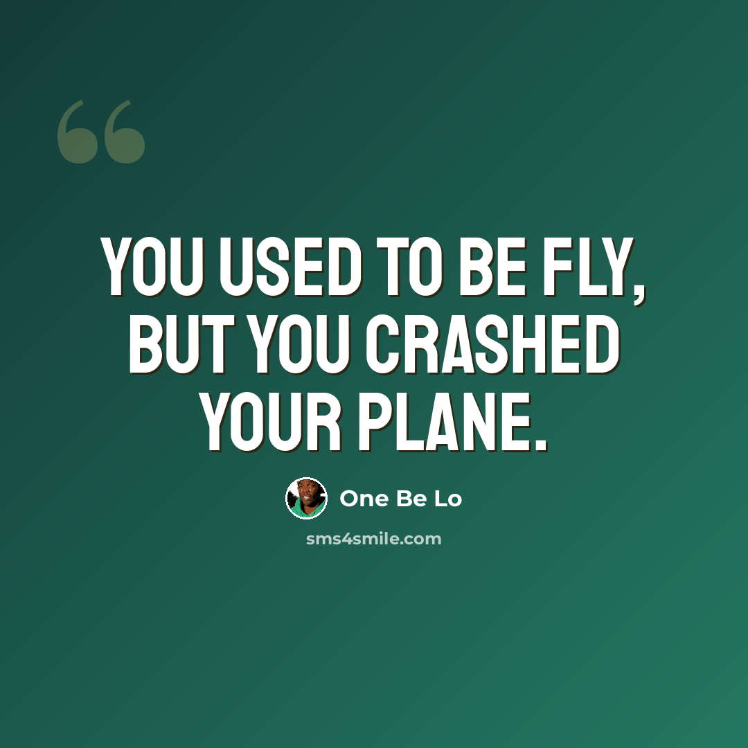 “You used to be fly, but you crashed your plane.” quote by One Be Lo