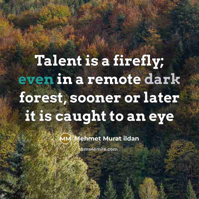 “Talent is a firefly; even in a remote dark forest, sooner or later it is caught to an eye” quote by Mehmet Murat Ildan