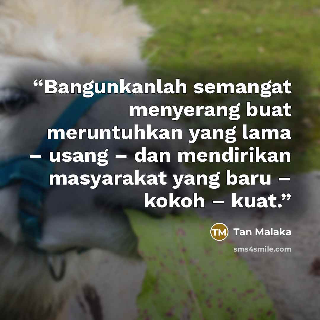 “Bangunkanlah semangat menyerang buat meruntuhkan yang lama – usang – dan mendirikan masyarakat yang baru – kokoh – kuat.” quote by Tan Malaka